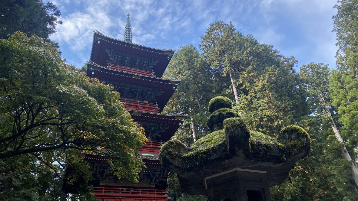 A red pagoda rising through trees at Nikkō Tōshō-gū
